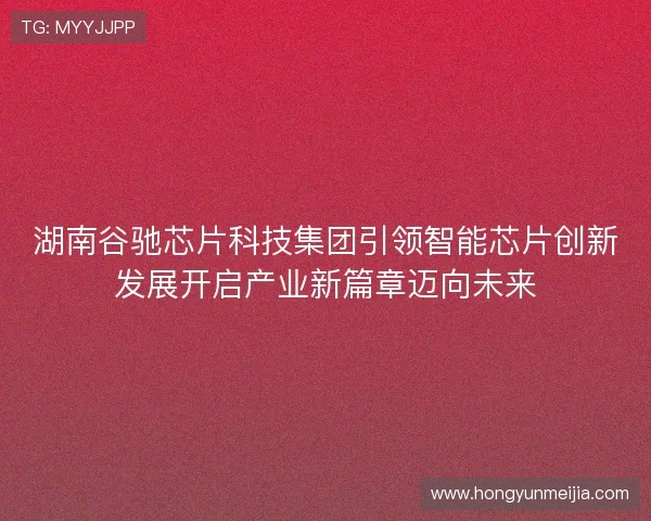 湖南谷驰芯片科技集团引领智能芯片创新发展开启产业新篇章迈向未来